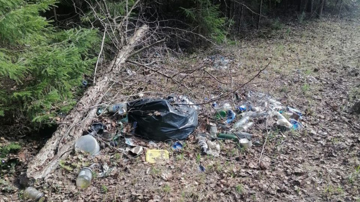 В Конаковском районе побережье начали очищать от мусора "диких" туристов - новости ТИА