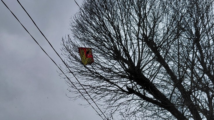 В Твери на дереве застряла игрушка из советского детства - народные новости ТИА