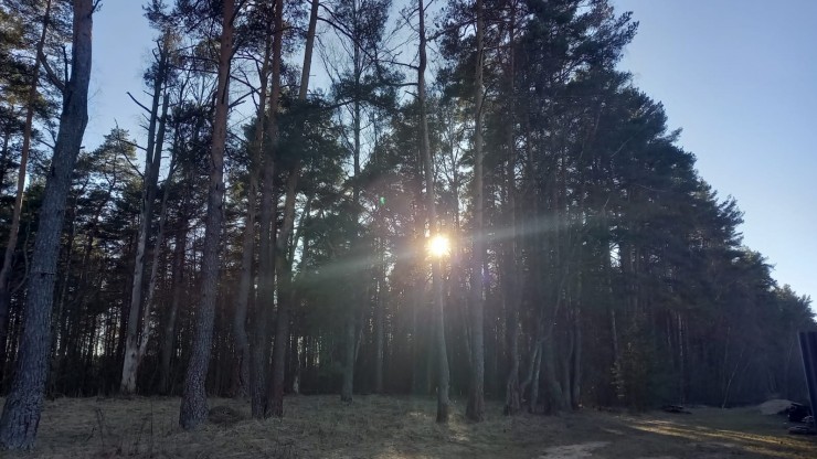 Тверские волонтеры напомнили "железные правила" леса - новости ТИА