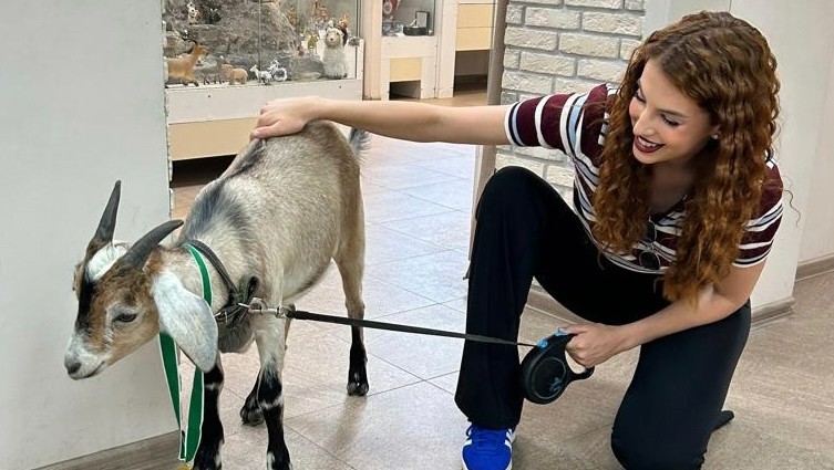 Фото: "Музея Козла в Твери" Фото: "Музея Козла в Твери"