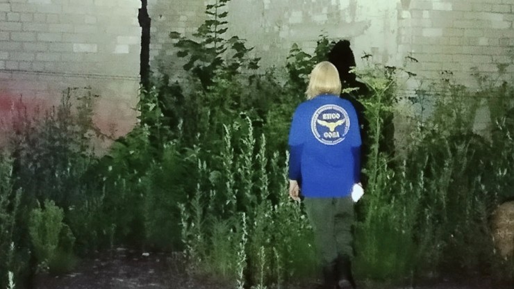 В Тверской области экстрасенс чуть не помешал найти пропавшую бабушку живой - новости ТИА