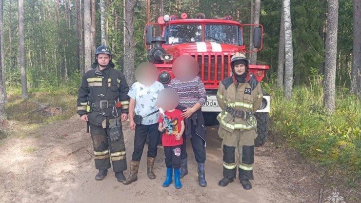 Грибная лихорадка: за сутки в Тверской области спасатели вывели из леса девять человек - новости ТИА