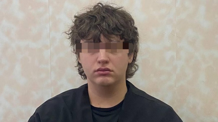 Обезьяна только на фото: москвич обманул жительницу Твери на 69 тысяч рублей - новости ТИА