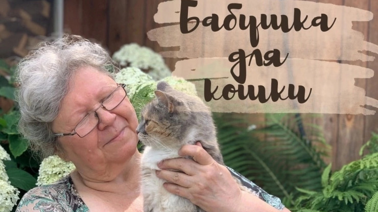 Тверские зоозащитники запустили благотворительный проект "Бабушка для кошки" - новости ТИА