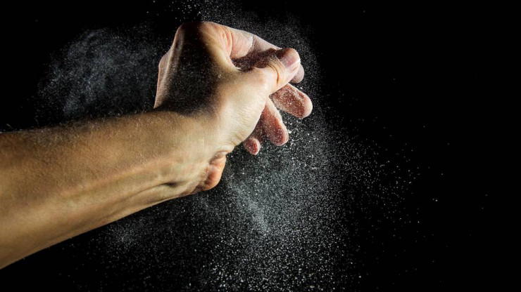 Роспотребнадзор рассказал, чем опасны клещи домашней пыли - новости ТИА