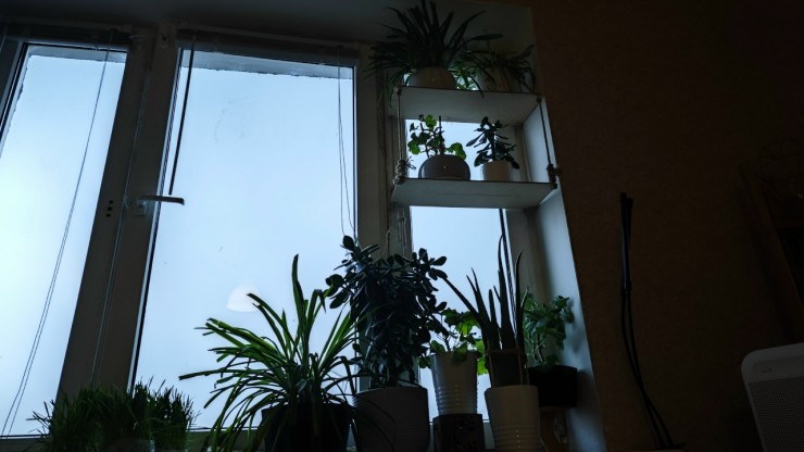 В России начнут бороться с "бабушкиной схемой" при сделках с недвижимостью - новости ТИА