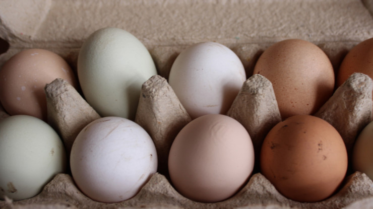 Глава ЦБ Набиуллина объяснила рост цен на яйца превышающем предложение спросом - новости ТИА