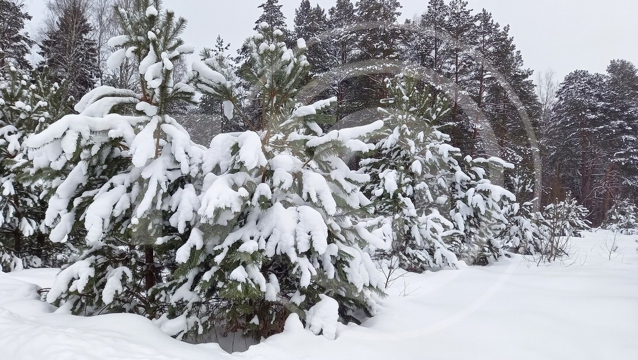 Фото из архива ТИА