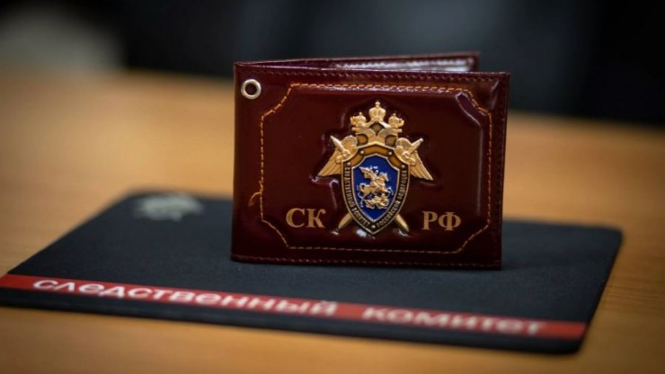 Бастрыкин взял на контроль инцидент с нападением собаки на подростка в Твери - новости ТИА