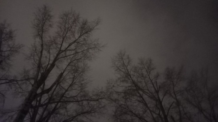 В Тверской области вечером 26 марта вновь уничтожили БПЛА - новости ТИА