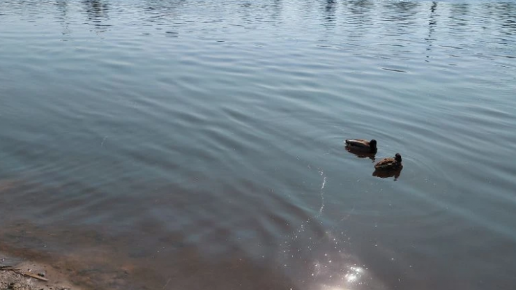 В Тверской области река вышла на пойму - новости ТИА
