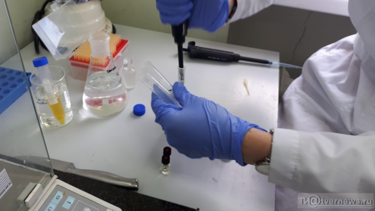 В Тверской области у речных рыб обнаружили паразитов - новости ТИА