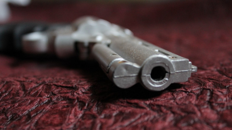 В гараже у жителя Тверской области нашли револьвер и боеприпасы - новости ТИА
