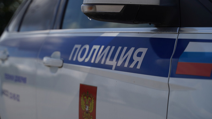 В Тверской области ищут водителя, который сбил лося - новости ТИА