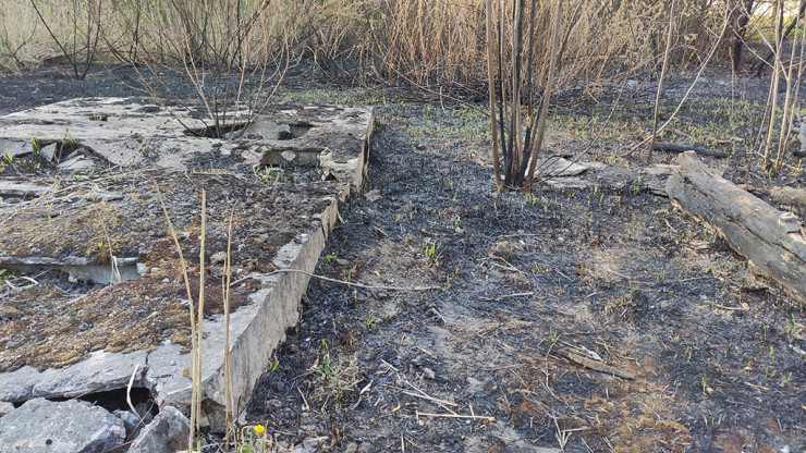 МЧС: В Тверской области сохраняется высокая пожарная опасность - новости ТИА