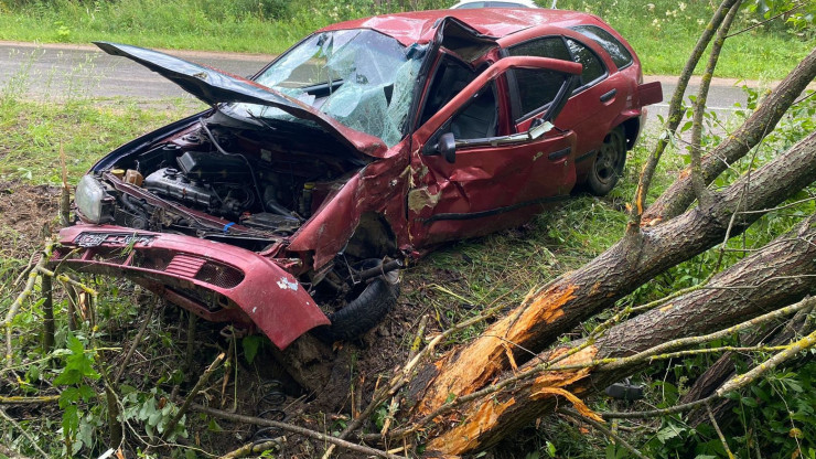 В Тверской области в аварии два подростка получили серьезные травмы - новости ТИА