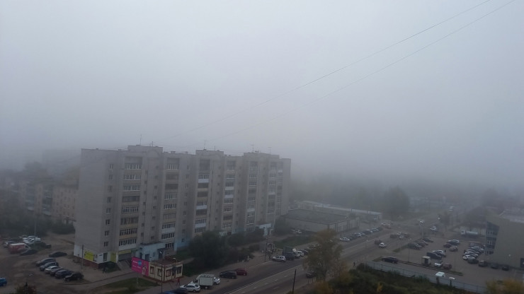 МЧС по Тверской области предупреждает о тумане ночью и утром 27 августа - новости ТИА