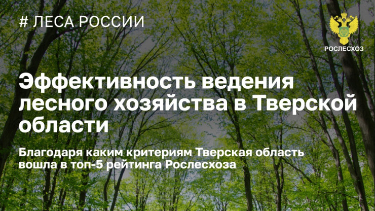 Рослесхоз отметил Тверскую область как регион, где эффективно охраняют леса - новости ТИА