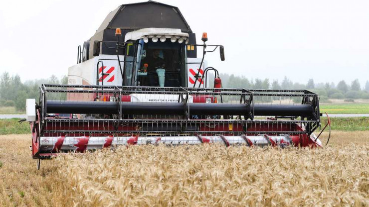 В Тверской области заканчивается уборка озимых зерновых - новости ТИА