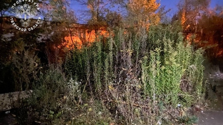 В Твери найдено тело 14-летнего юноши - новости ТИА