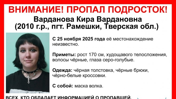В Тверской области разыскивают двоих пропавших подростков - новости ТИА