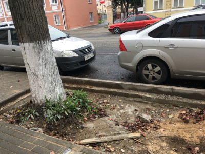 Ремонт тротуаров или деревья? - народные новости ТИА