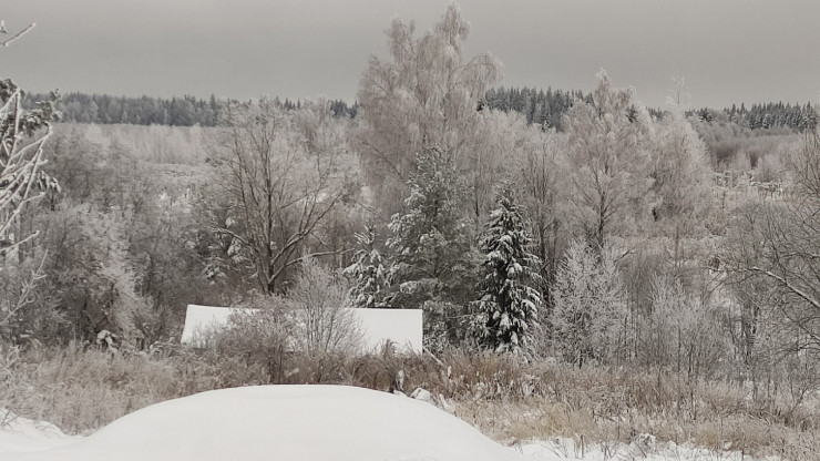 В выходные Тверскую область ждёт -13 градусов и снегопад - новости ТИА