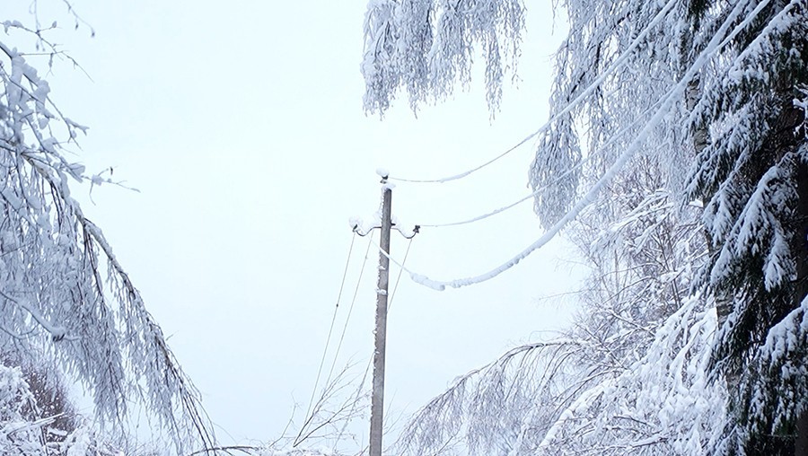 Фото из архива ТИА