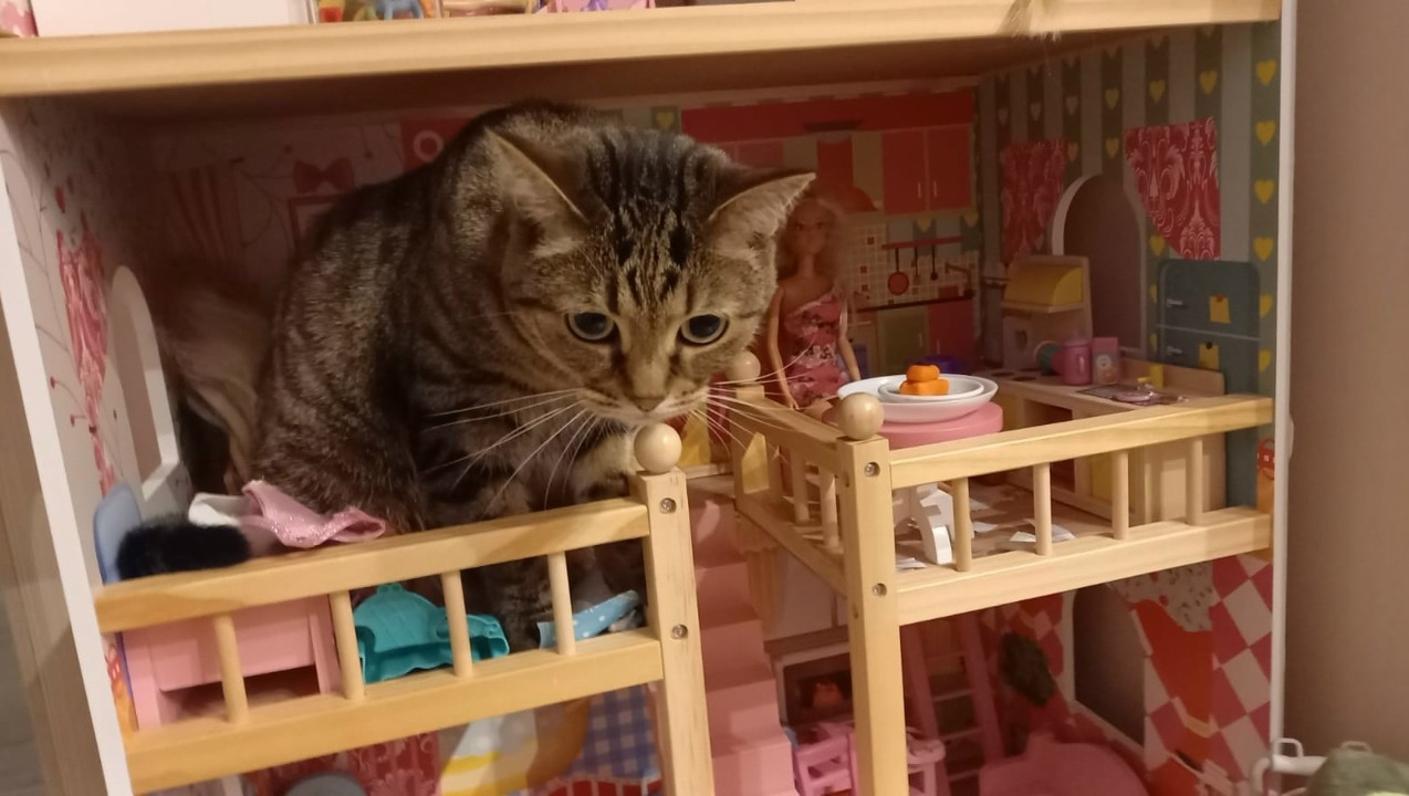 Фото из архива ТИА