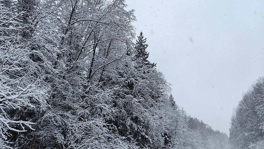 Фото из архива ТИА