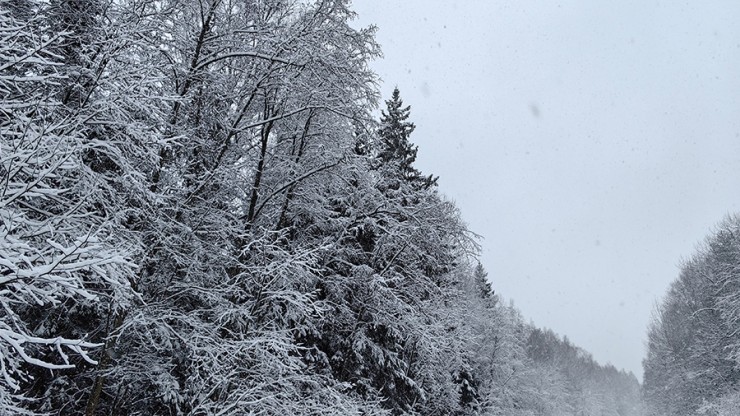 В Тверской области за ночь выпала четверть месячной нормы осадков - новости ТИА