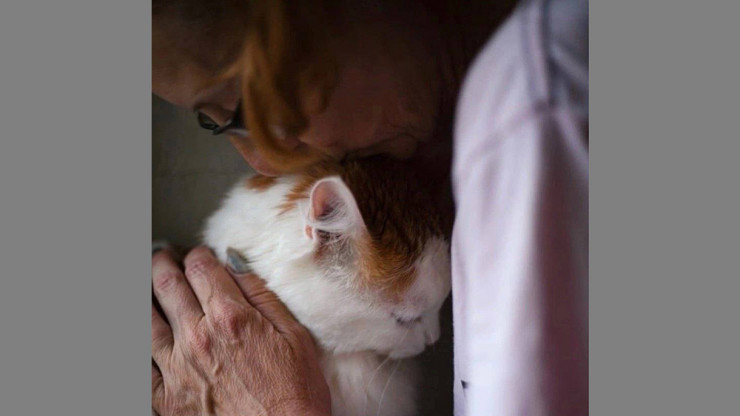 В Твери волонтёры обнаружили дом с несколькими десятками умирающих котят - новости ТИА