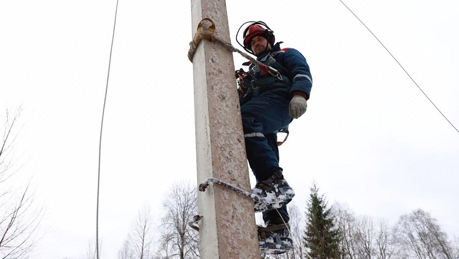 Фото: Виталия Шустрова