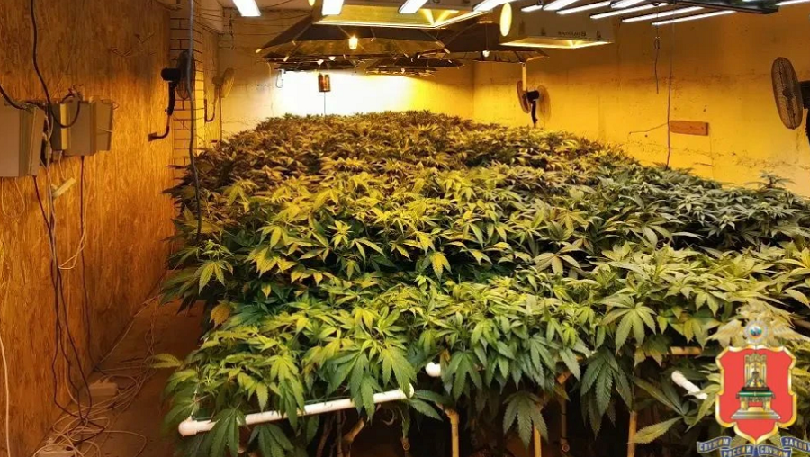 Фото: пресс-служба УМВД России по Тверской области