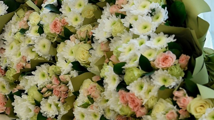 Жительница Тверской области Елена Эрст отметила вековой юбилей - новости ТИА