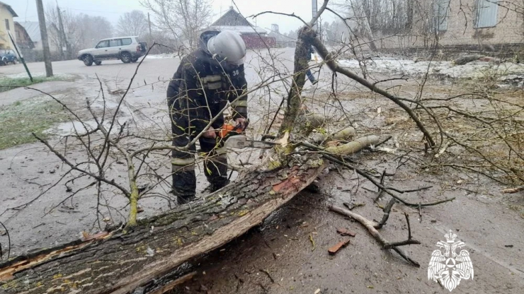 МЧС опубликовало фото последствий непогоды в Тверской области - новости ТИА