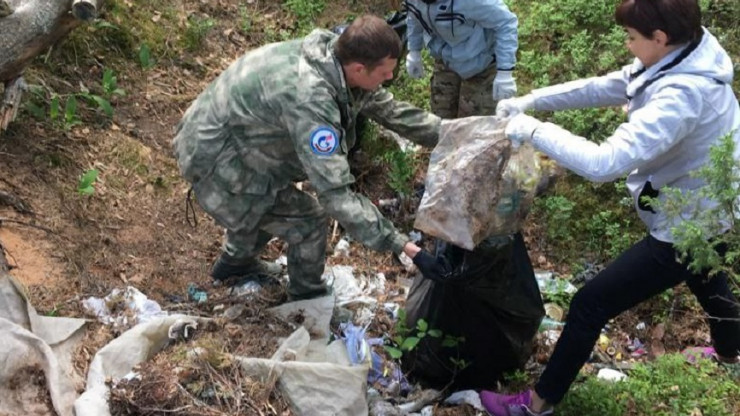 В Тверской области волонтеры очистили от мусора берег озера Селигер - новости ТИА