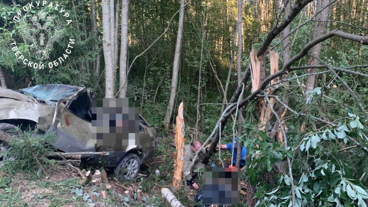 В Тверской области водитель улетел в кювет, погибла 16-летняя девушка - новости ТИА