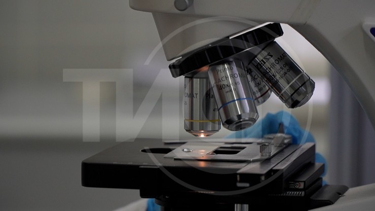 В Тверской области с начала года случаев птичьего гриппа не выявлено - новости ТИА