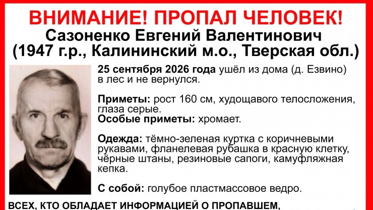 В лесу под Тверью вторые сутки плутает пожилой мужчина - новости ТИА