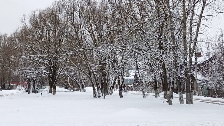 В ближайшие дни жителей Тверской области ожидают снегопады и небольшой мороз - новости ТИА