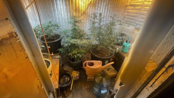 В Тверской области у мужчины нашли комнату с наркотической рассадой - новости ТИА