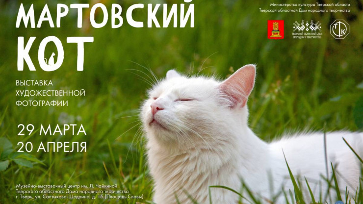 В Твери открывается выставка художественной фотографии "Мартовский кот" - новости ТИА