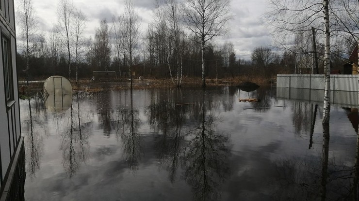 В двух СНТ под Тверью затопило дачные участки - новости ТИА