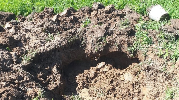 В Тверской области поисковики подняли из земли останки 15 бойцов и командиров РККА - новости ТИА