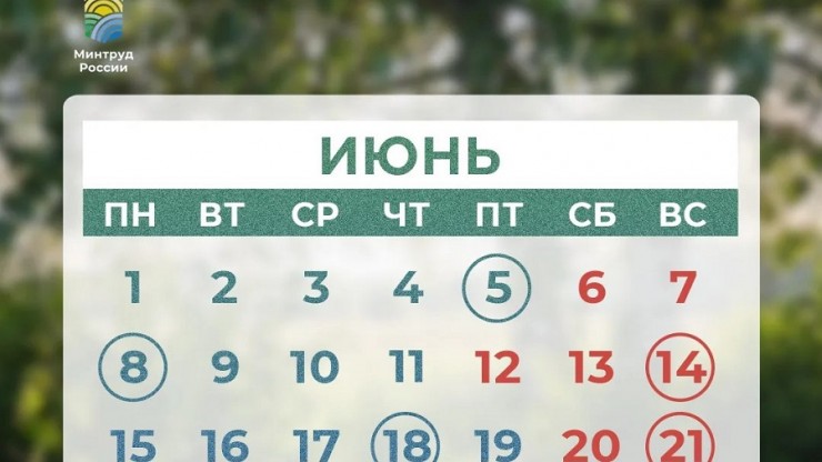 Жителей Тверской области ждут три выходных дня - новости ТИА