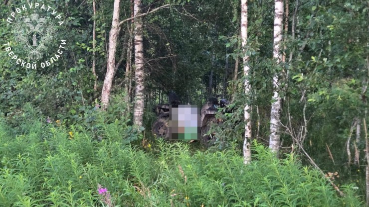 В Тверской области две девочки перевернулись на квадроцикле, одна из них погибла - новости ТИА