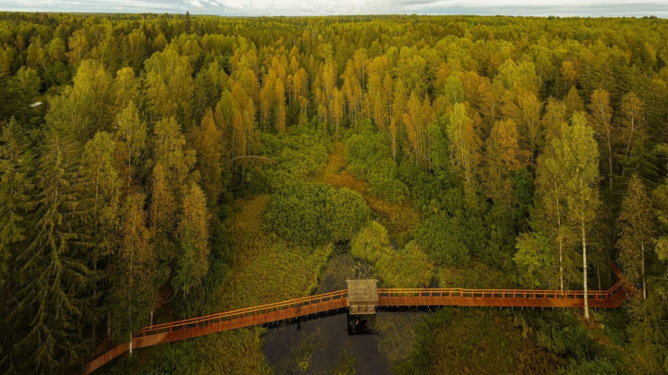 Тверской экотур "Южная тайга" участвует в конкурсе туристических проектов - новости ТИА
