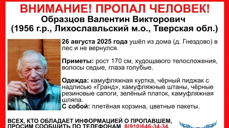 В Тверской области пенсионер ушел с корзиной в лес и пропал - новости ТИА