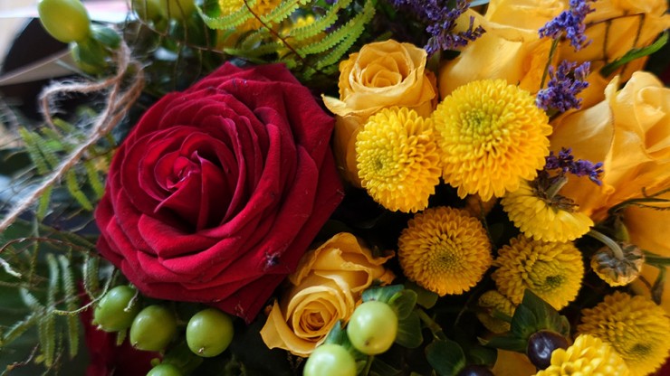 28 ноября исполнился 101 год жительнице Тверской области Анастасии Васильевне Васильевой - новости ТИА